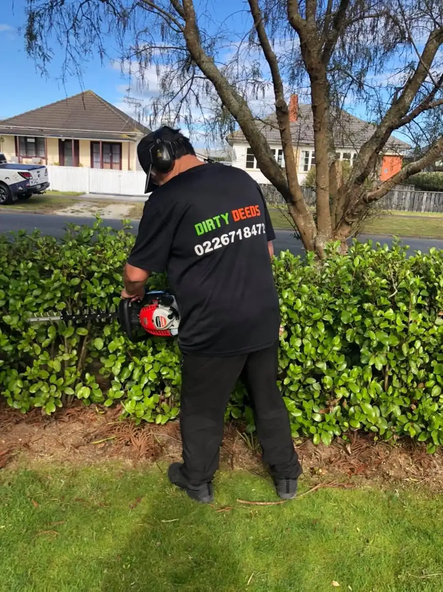 Hedge trimming service in the Waikato
