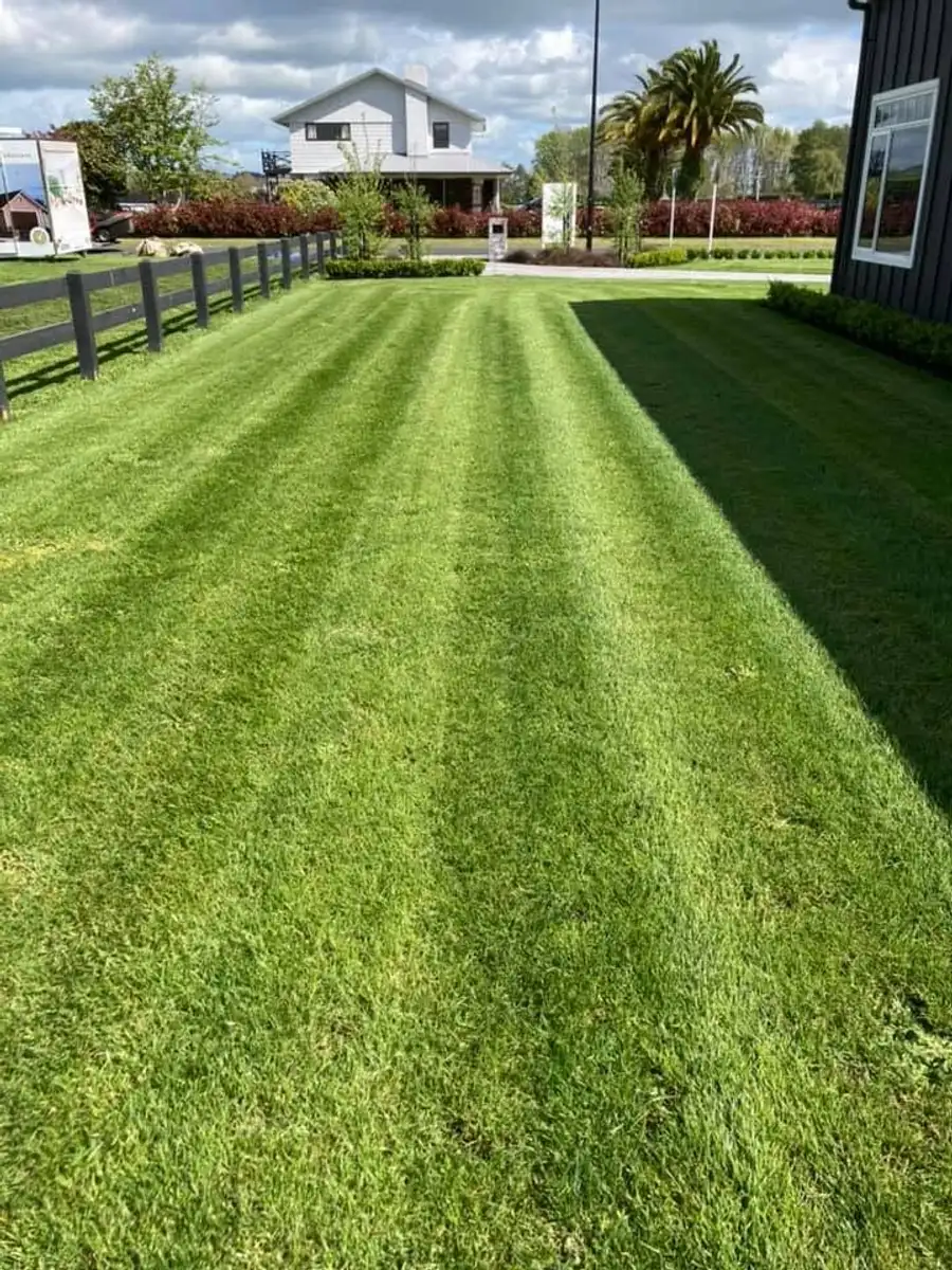 Freshly striped lawn mowing result in the Waikato