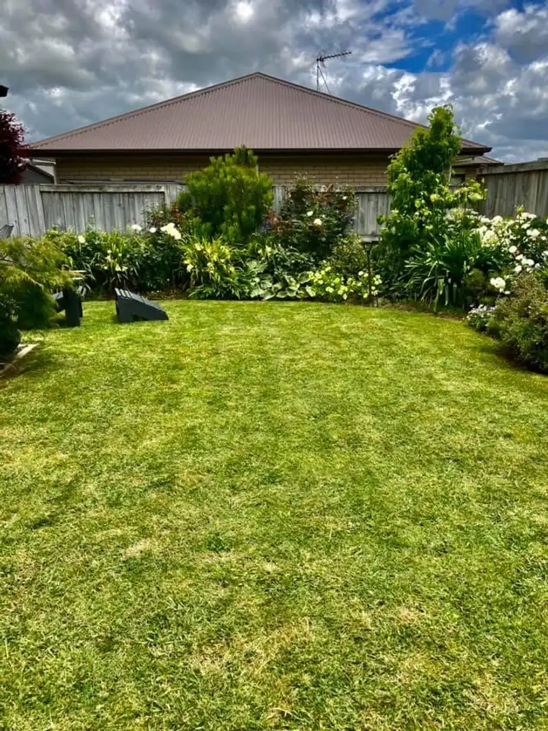 Tidy backyard lawn in Cambridge