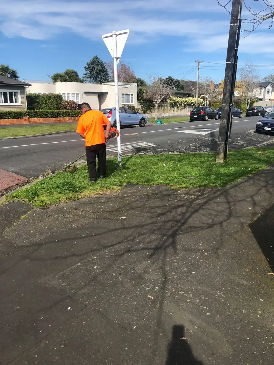 Weed eating and edging service in Cambridge